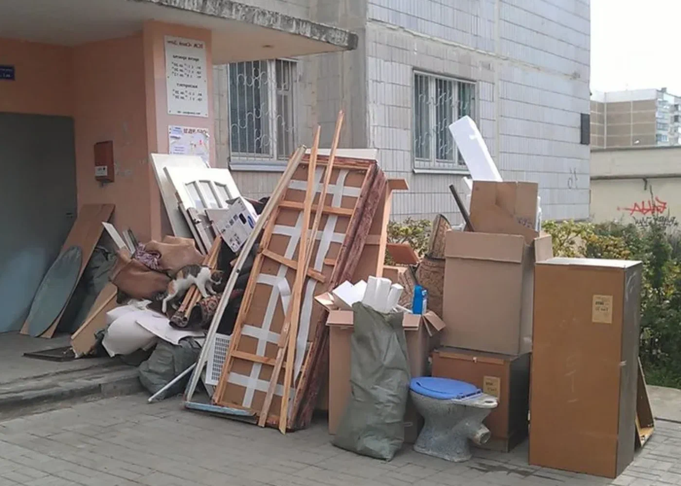 Профессиональный вывоз мусора из квартиры в Похвистневе в октябре