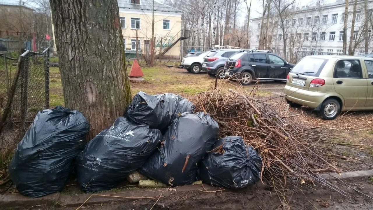 Вывоз мусора после субботника в Похвистневе от ПроМусор – уборка и утилизация отходов от 2409 руб