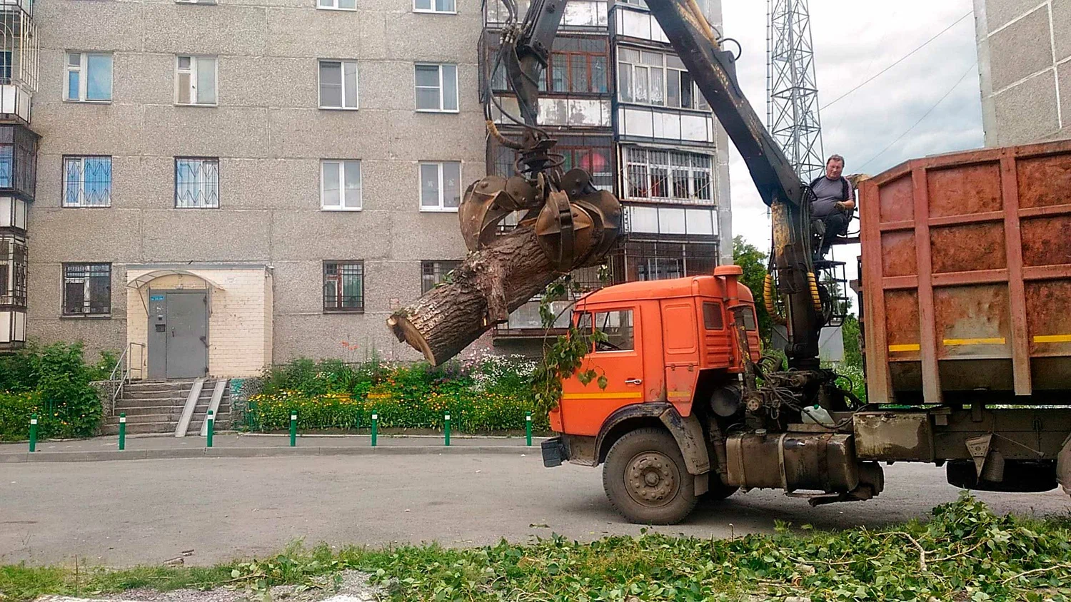 Вывоз спиленных веток и деревьев в Похвистневе от ПроМусор: порубочные остатки, утилизация, цена от 2973 руб