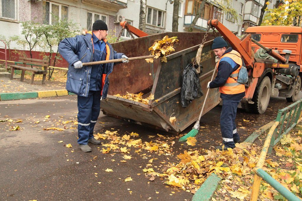 Вывоз опавшей листвы и растительного мусора в Похвистневе от ПроМусор – цена от 4613 руб., быстрая уборка и утилизация